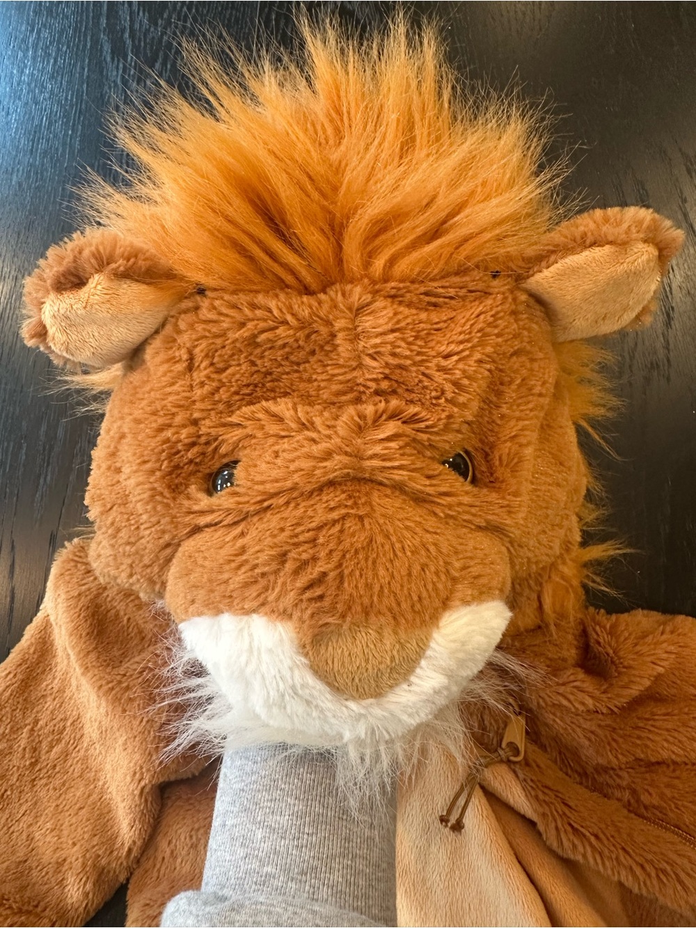 Sweet & Cozy Lion 1-piece Costume 🦁